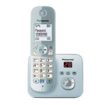 تلفن بی سیم پاناسونیک مدل KX-TG6821BX Panasonic KX-TG6821BX  Wireless Phone